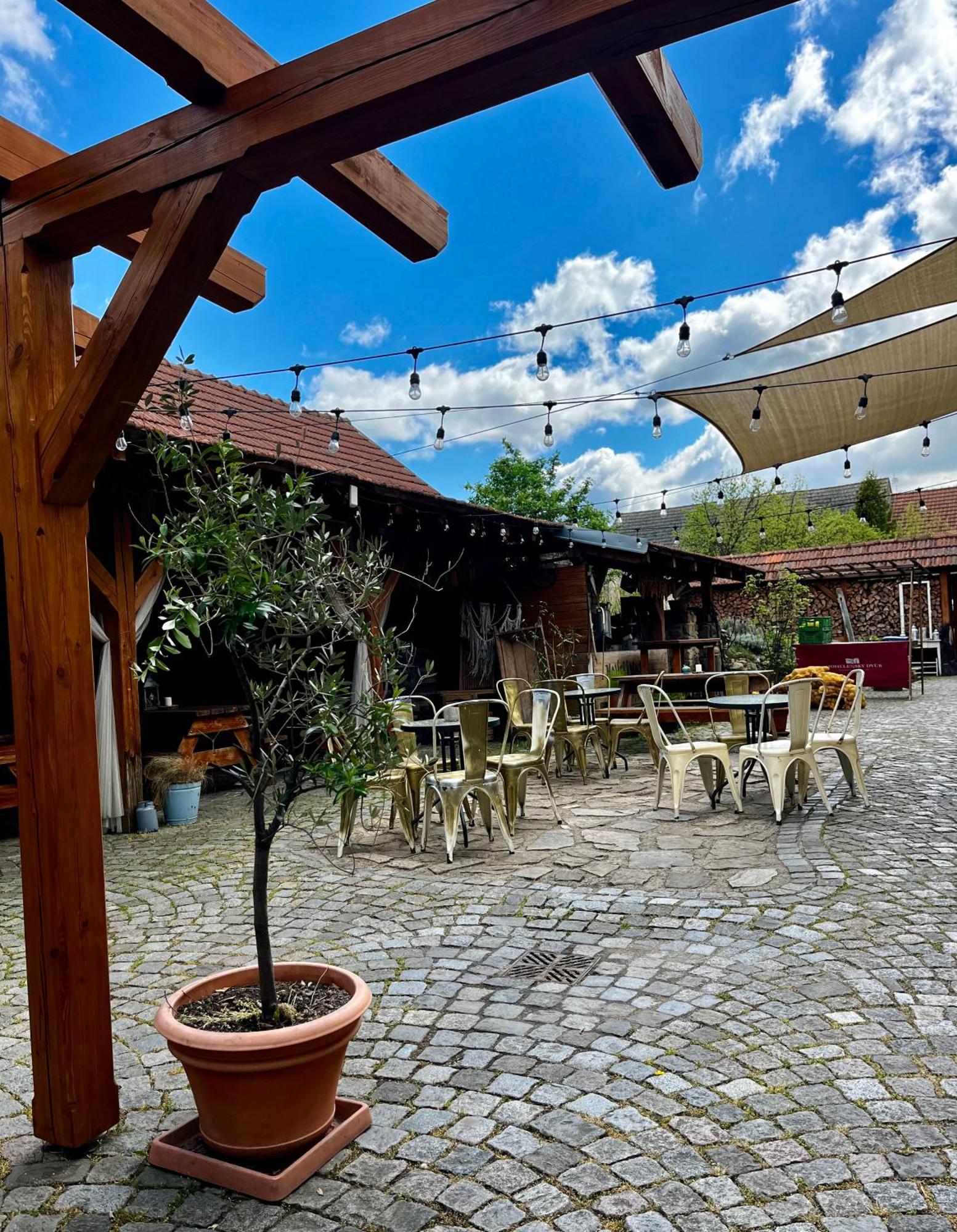 Mohelensky Dvur Apartment Mohelno Екстериор снимка